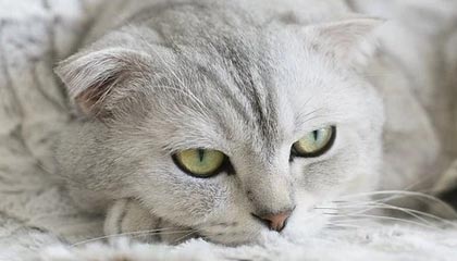 kaiyun：开启云端生活的新纪元