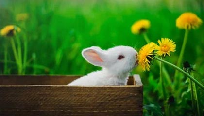 50米蝶泳刷新PB，潘展乐：成绩挺一般，以赛代练报个名玩玩